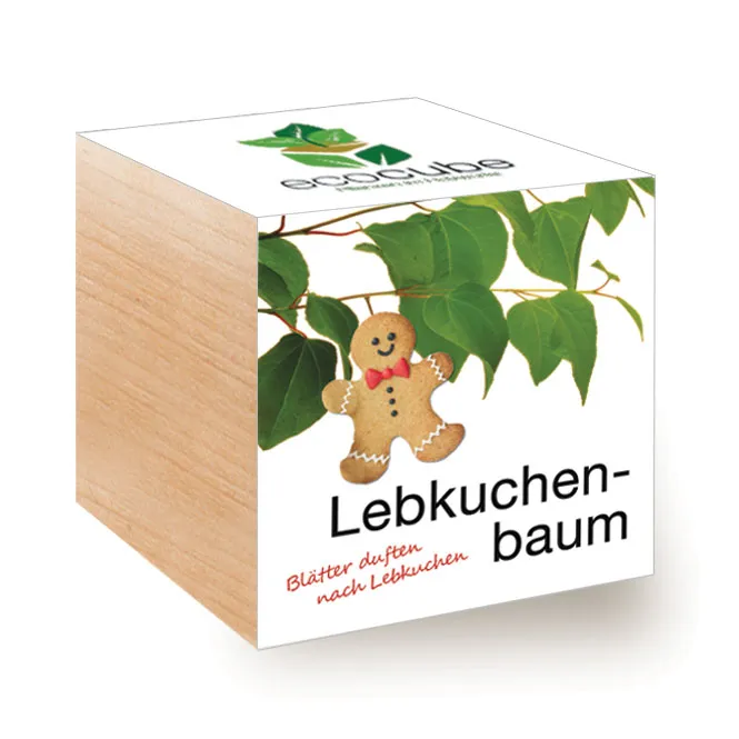 Ecocube Pflanze im Holzwürfel "Lebkuchenbaum"