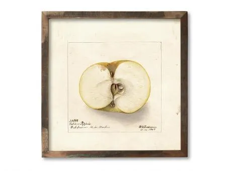 Vintage Filo 40×40 cm Apfel
