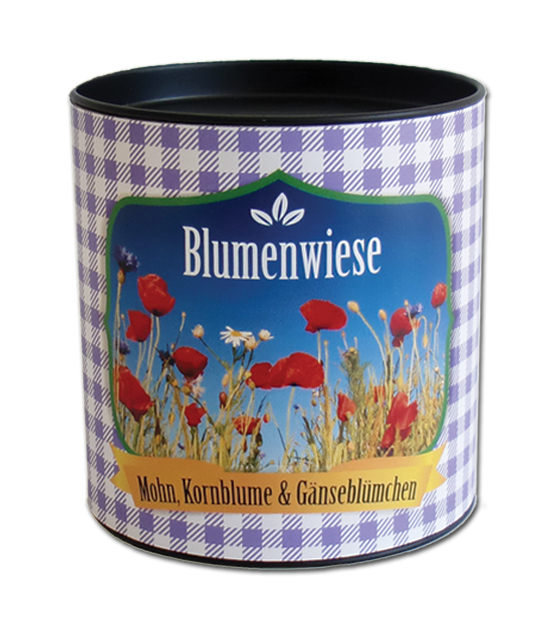 City Garden - Stadtgarten "Blumenwiese"