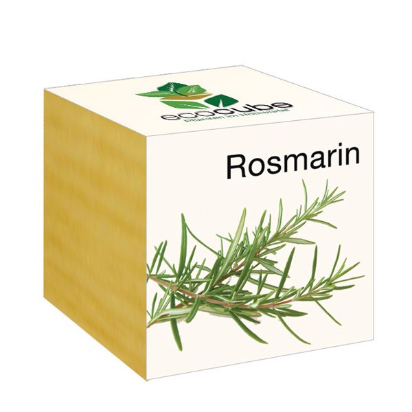 Ecocube Pflanze Holzwürfel Rosmarin Nachhaltig Ökologisch