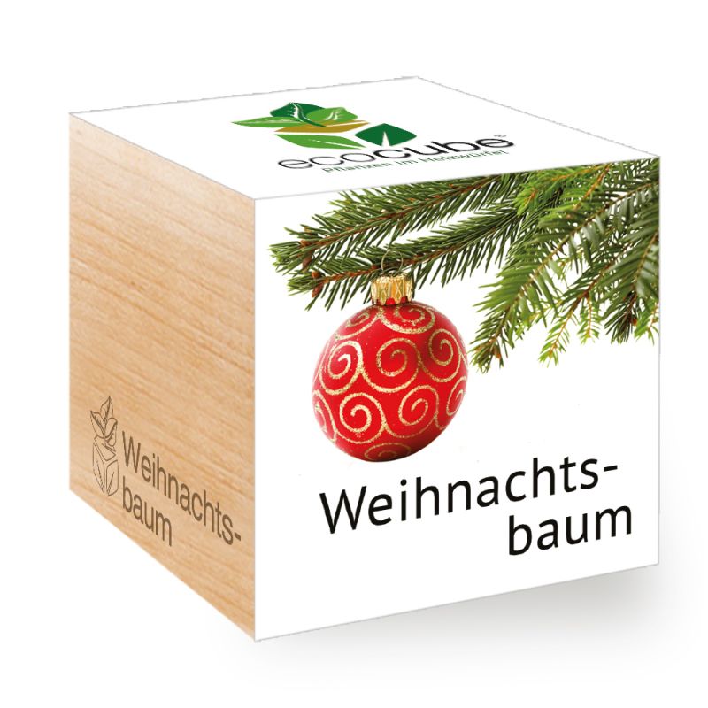 Pianta Ecocube in un cubo di legno "albero di Natale"