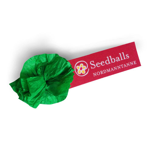 Seedballs Nordmanntanne (1 Stk.)