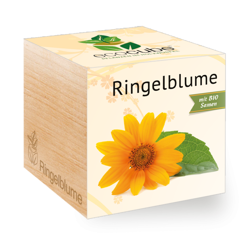 Pianta ecocompatibile in cubo di legno "Marigold"