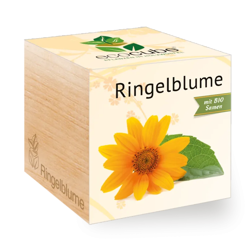 Ecocube Pflanze im Holzwürfel "Ringelblume"