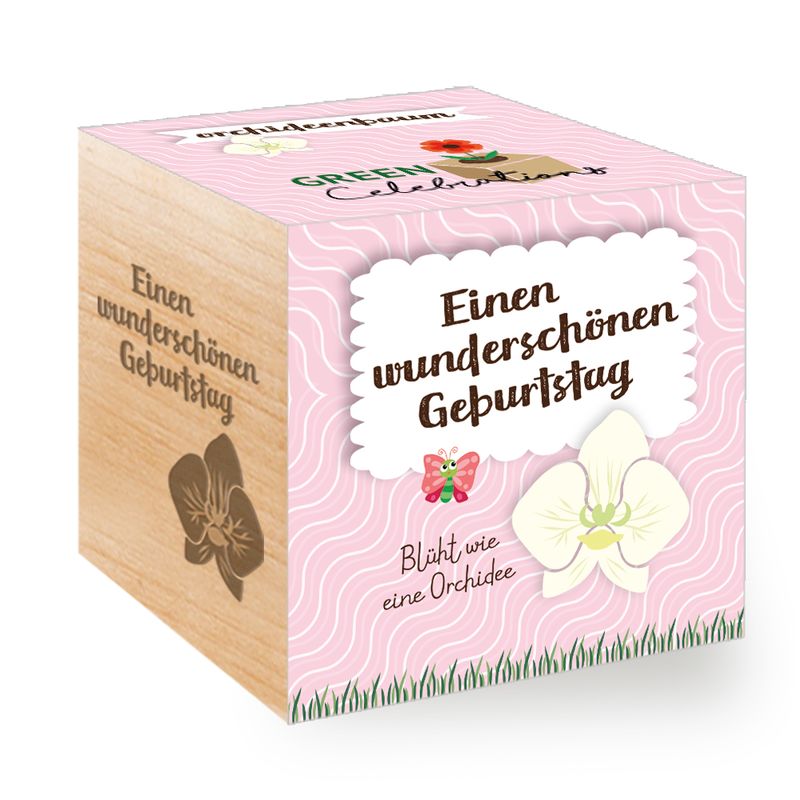 Green Celebrations - Orchideenbaum - Einen wunderschönen Geburtstag