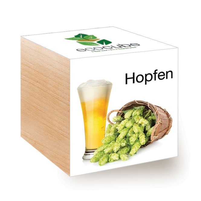 Impianto Ecocube in cubo di legno "Hops"
