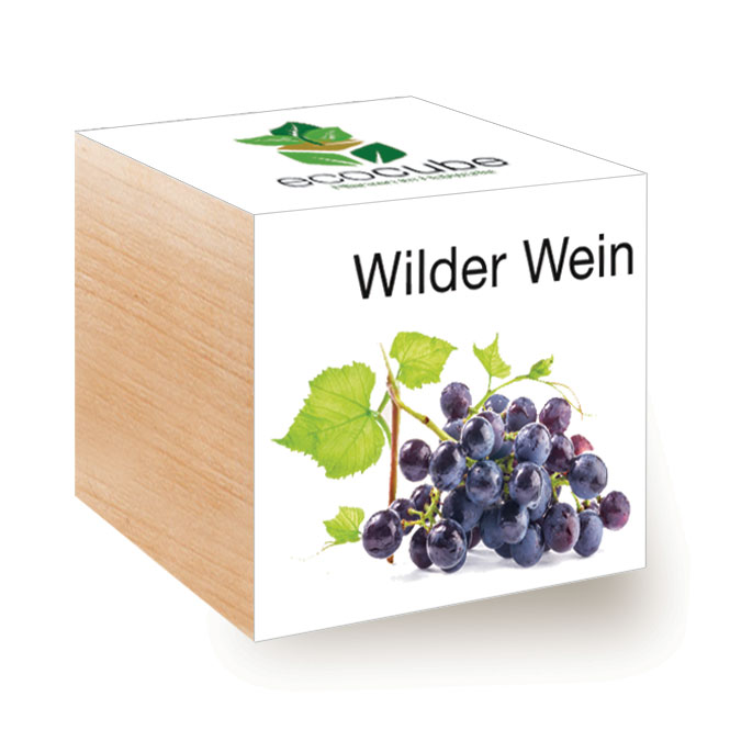 Pianta in cubo di legno "Wild Vine"
