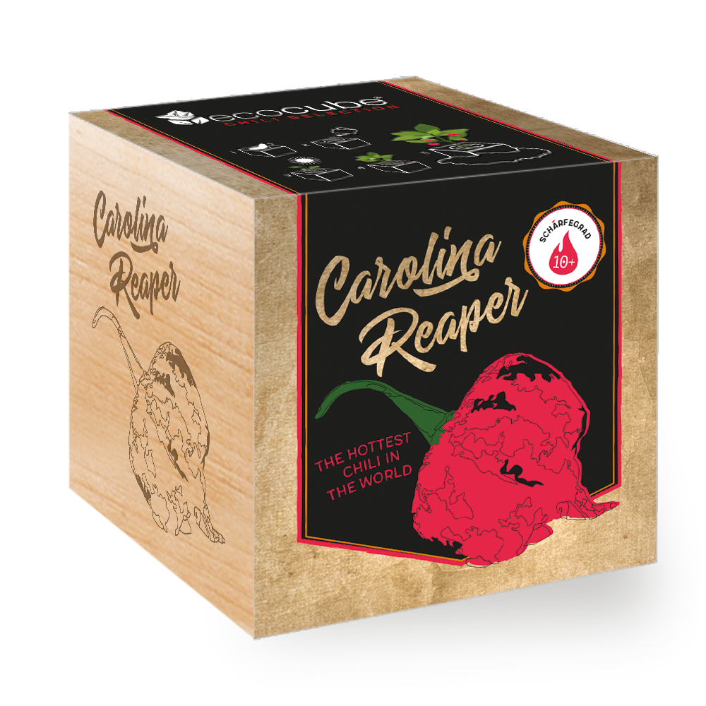 Ecocube Pflanze im Holzwürfel "Carolina Reaper"