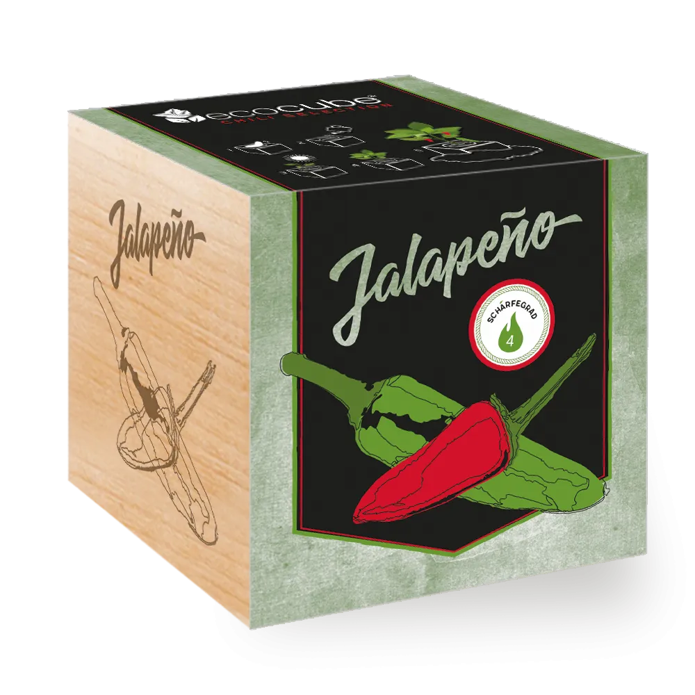 Ecocube Pflanze im Holzwürfel "Jalapeño"