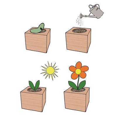 ecocube-pflanze-im-holzwuerfel-minze-8800014-_2