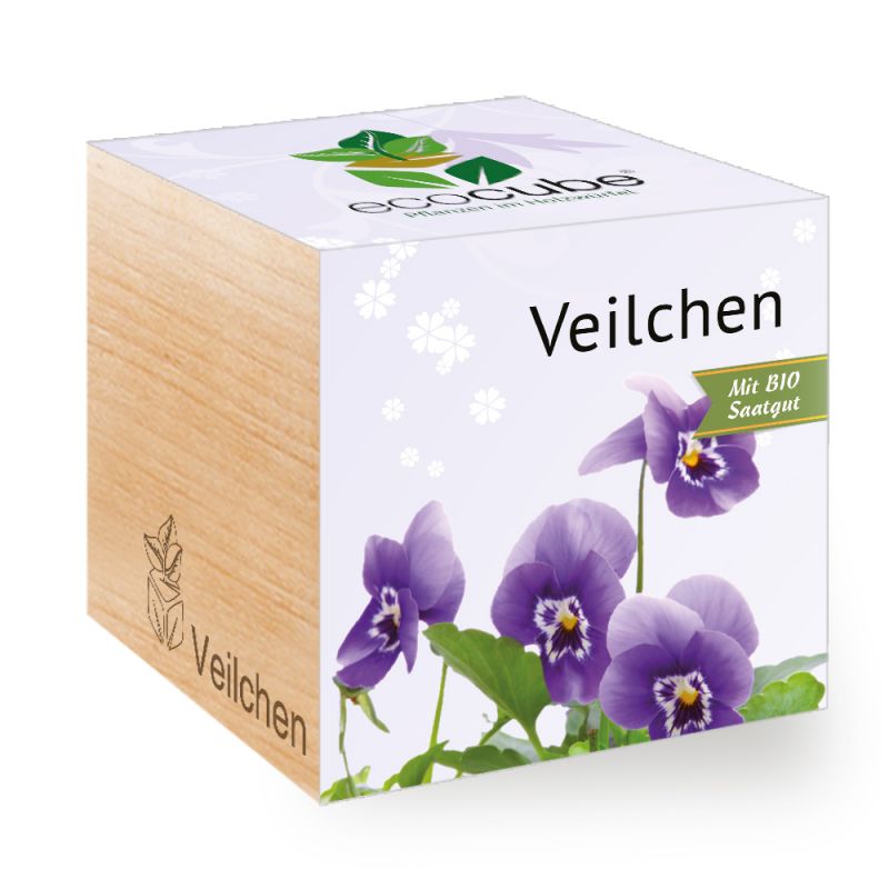 Impianto ecocubo in cubo di legno "Violet"