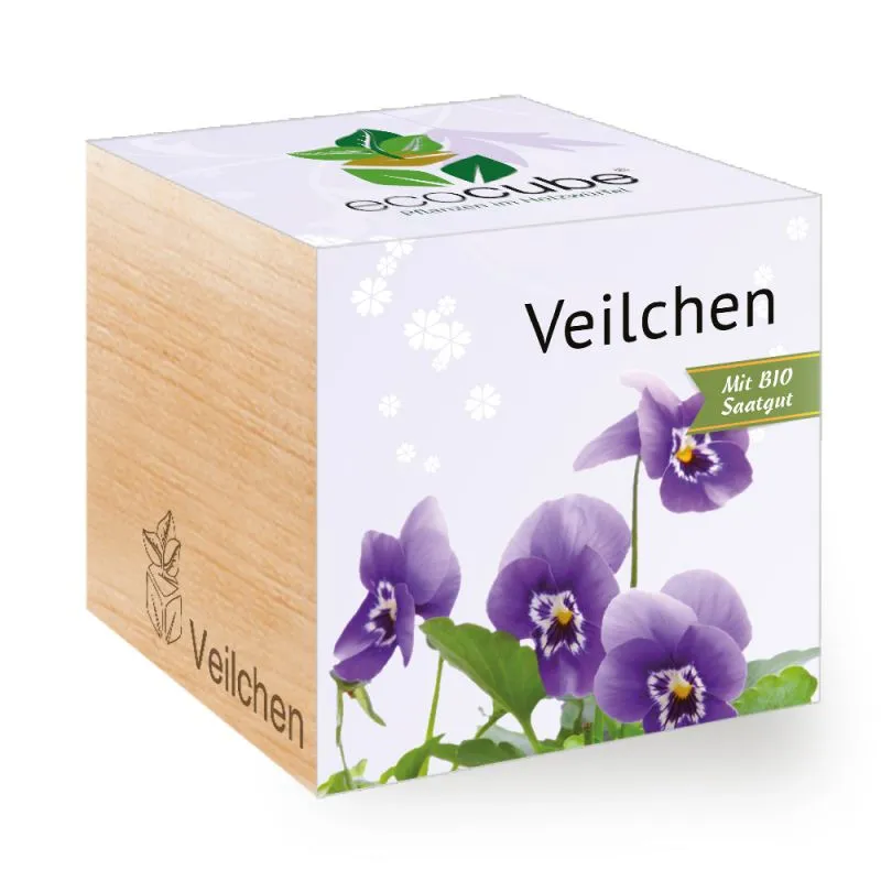Ecocube Pflanze im Holzwürfel "Veilchen"