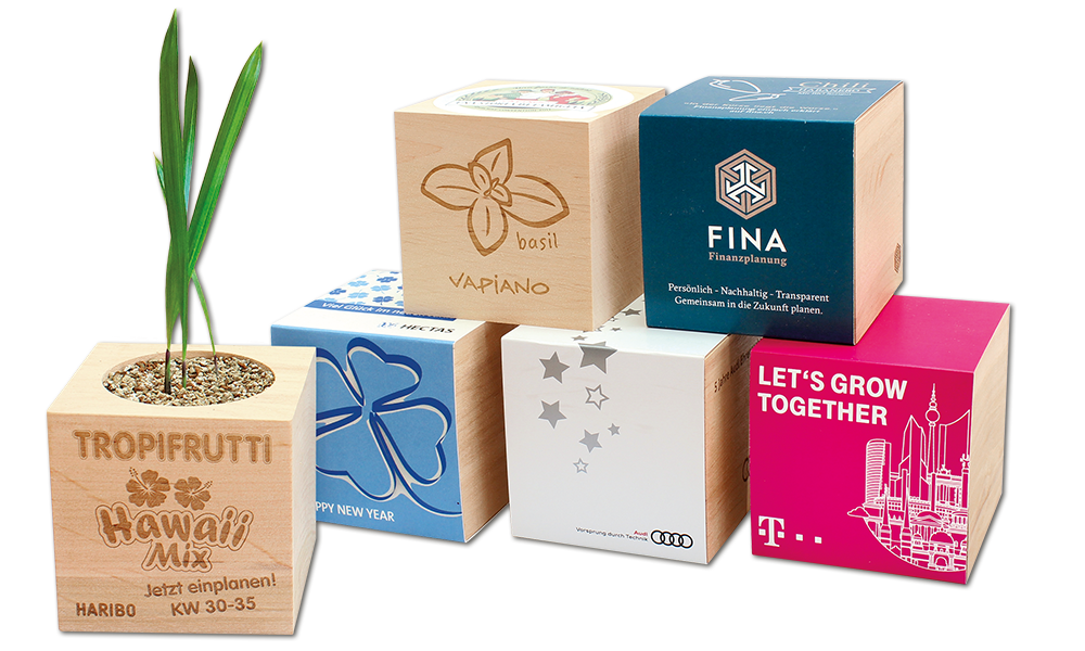 Ecocube im Eigendesign