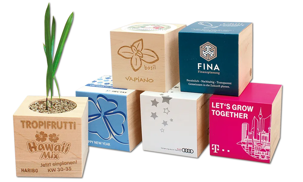 Ecocube im Eigendesign
