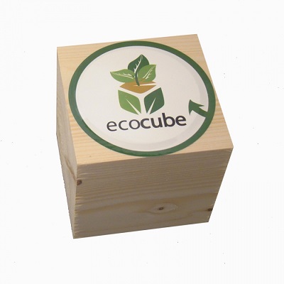 ecocube-pflanze-im-holzwuerfel-minze-8800014-_1
