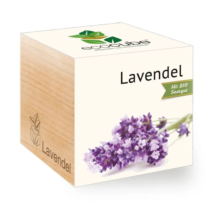 Ecocube Pflanze im Holzwürfel "Lavendel"