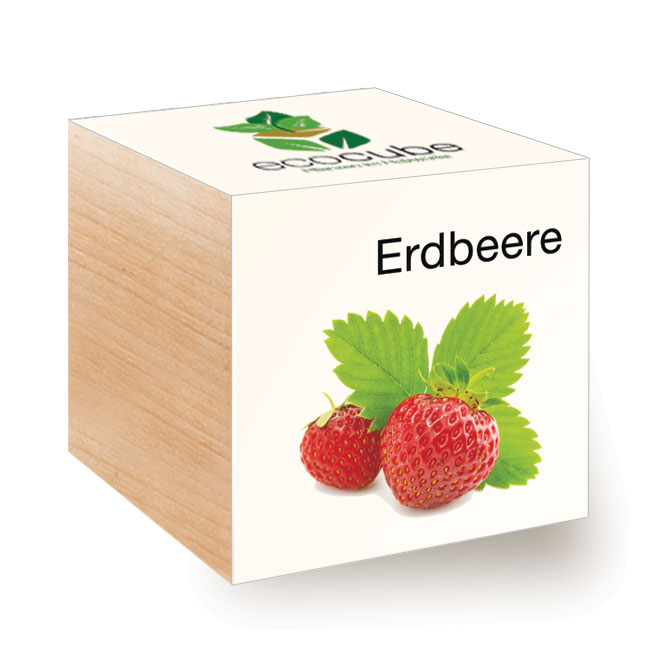 Impianto Ecocube in un cubo di legno "Strawberry