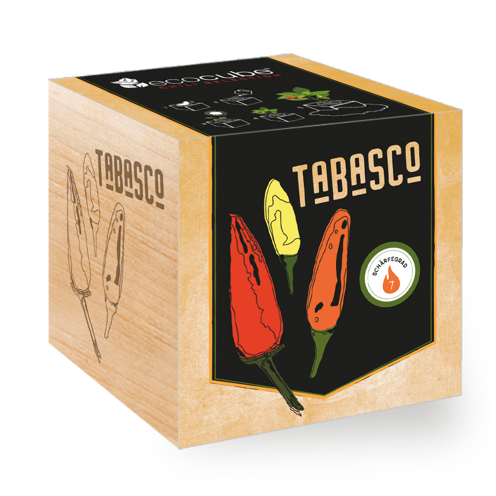 Impianto ecocubo in cubo di legno "Tabasco