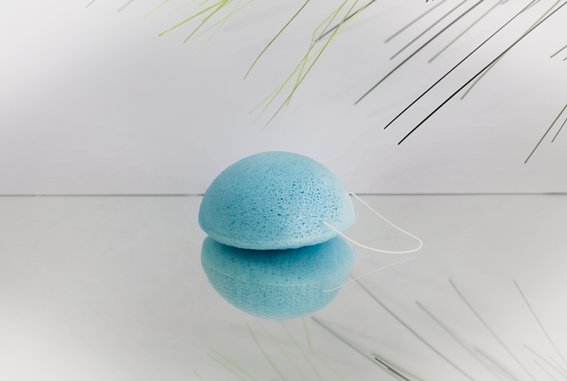 konjac-schwamm-blaubeere-mit-anti-aging-effekt-nksbb-_0