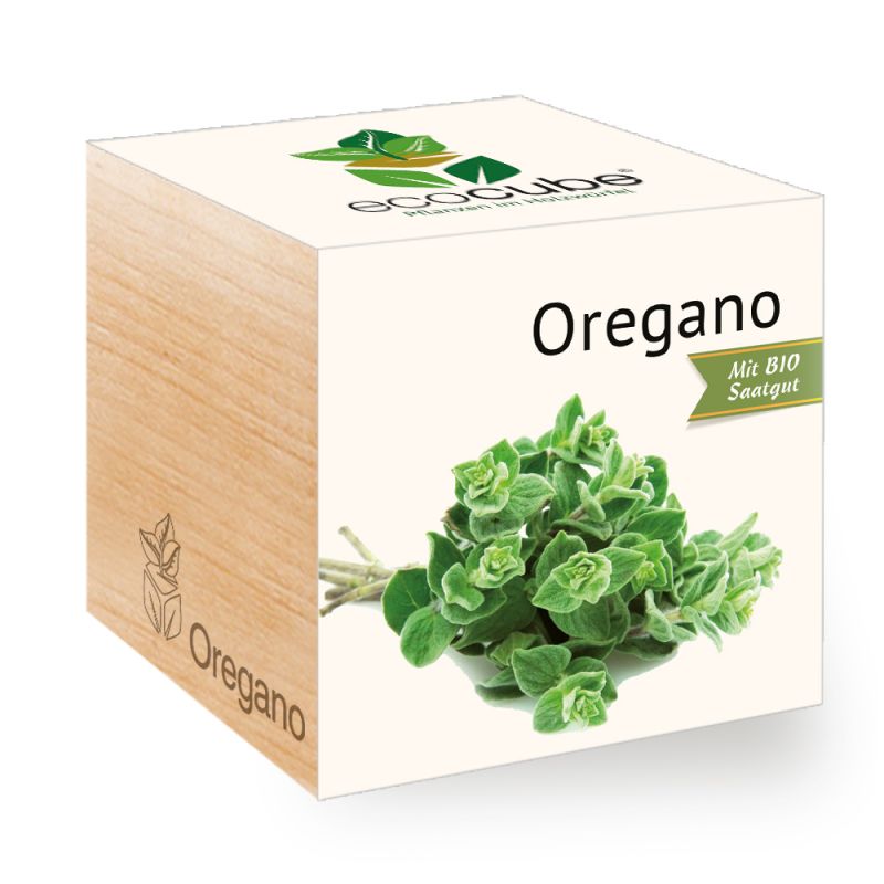 Pianta in cubo di legno "Origano"