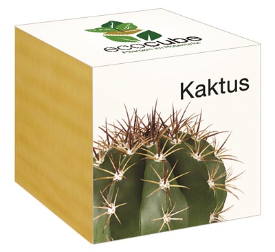 Ecocube plant in wooden cube "Cactus"