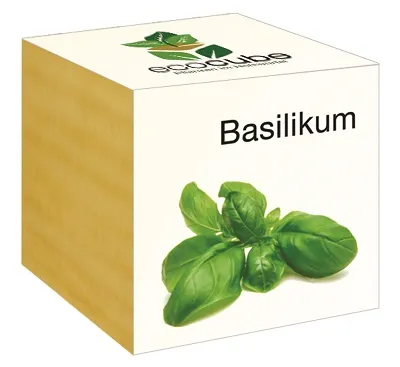Ecocube Pflanze im Holzwürfel "Basilikum"