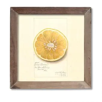 Werkstück Rano 60×60 cm Zitrone