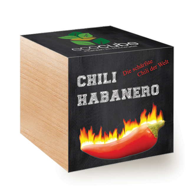 Ecocube Pflanze im Holzwürfel "Chili Habanero"